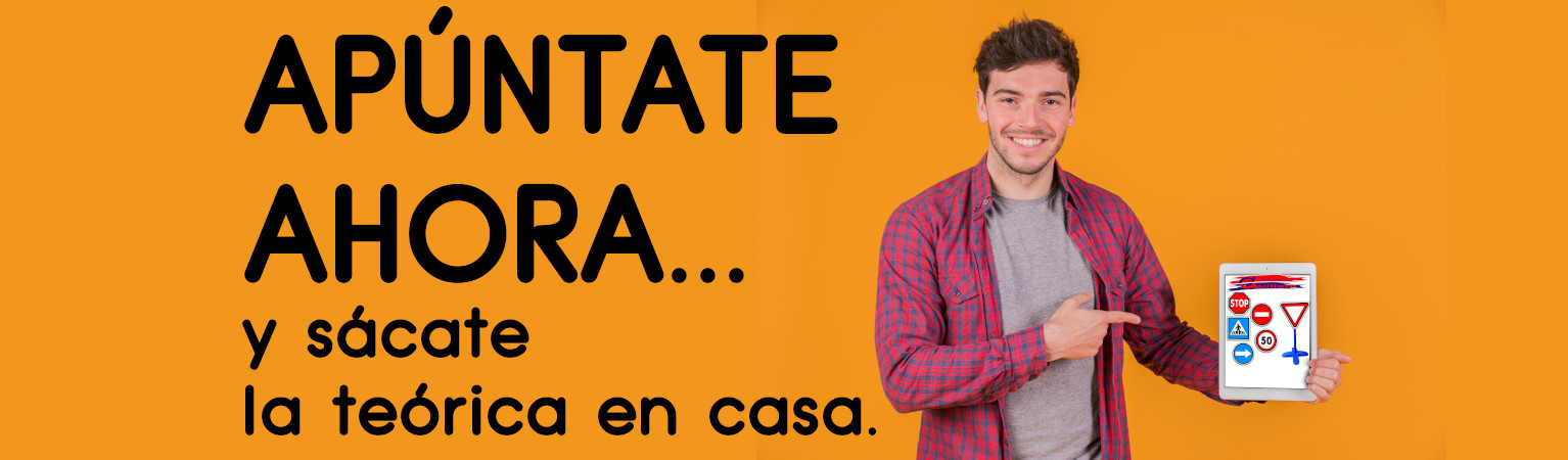 carnet camiones Autoescuela Fernando Guillem